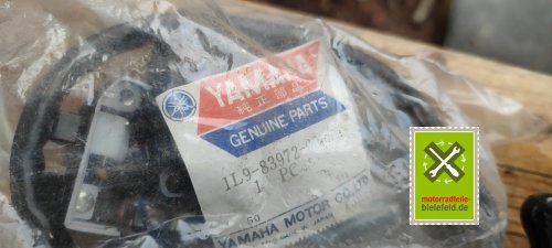 IMG_20230828_111744